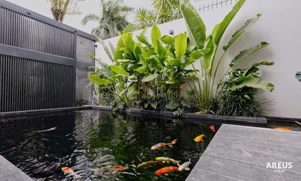🔥 SIÊU BIỆT THỰ PHÚ MỸ VẠN PHÁT HƯNG – 233m² FULL NỘI THẤT CAO CẤP | KIẾN TRÚC SANG TRỌNG | GIÁ 48 TỶ