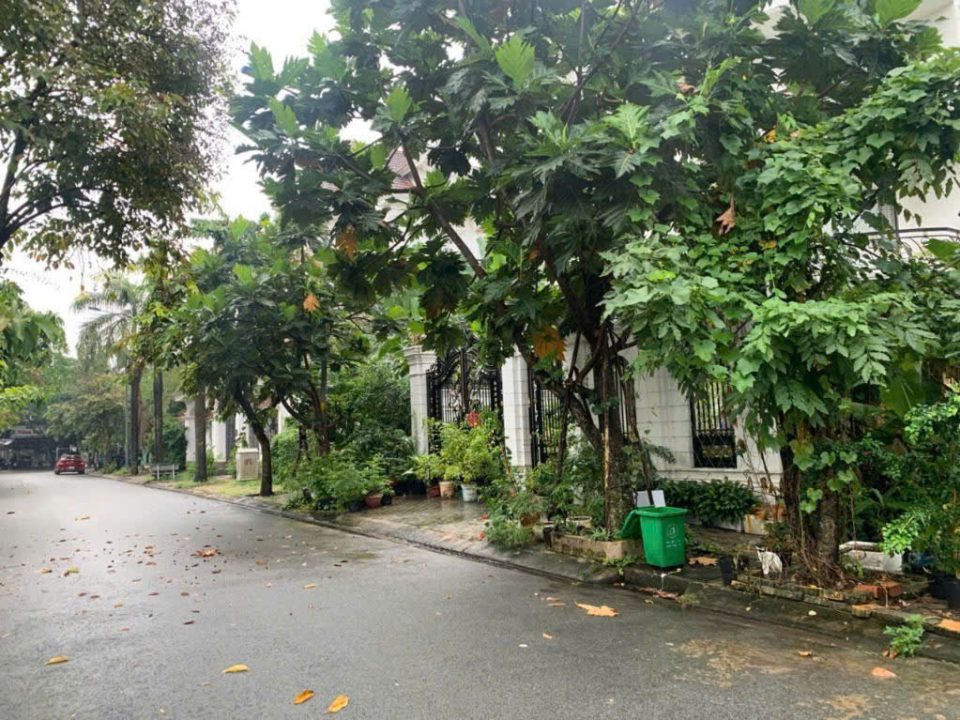 BÁN LÔ ĐẤT BIỆT THỰ KDC TẤN TRƯỜNG – ĐƯỜNG SỐ 3