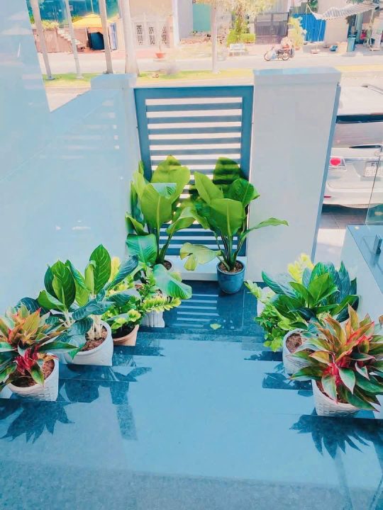 MẶT TIỀN ĐƯỜNG D1 KDC HIM LAM – NHÀ CÓ THANG MÁY, ĐƯỜNG LỚN KINH DOANH ĐA NGÀNH, GIÁ CHỈ 40 TỶ TL