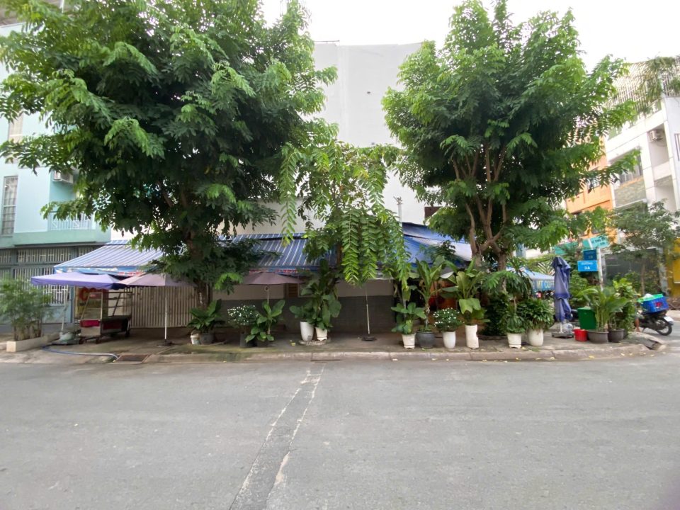 Bán Lô Đất Mặt Tiền Đường Số – KDC TĐC Him Lam, Quận 7 | 5 x 16.5m | Đang Có Thu Nhập 15 Triệu/Tháng | Giá Chỉ 19 Tỷ