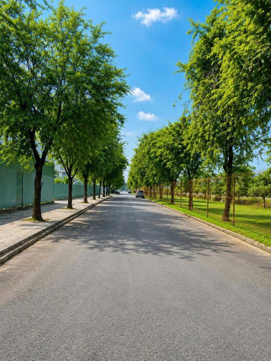 🔥 SIÊU PHẨM ĐẤT BIỆT THỰ SADECO VEN SÔNG – ĐƯỜNG SỐ 2 | VỊ TRÍ ĐẸP, CỘNG ĐỒNG ĐẲNG CẤP