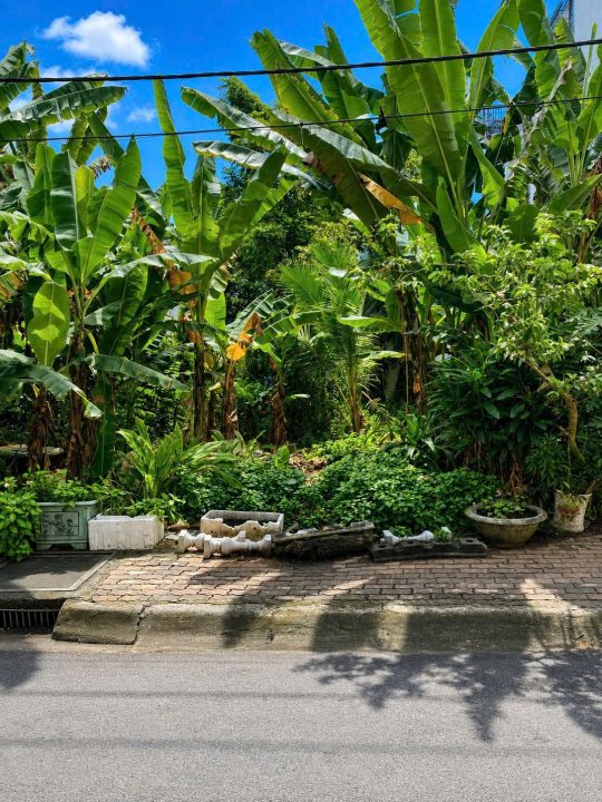 🔥🔥 CHỈ 14 TỶ SỞ HỮU ĐẤT NỀN PHÚ MỸ CHỢ LỚN 107M² – XÂY 3 TẦNG, GIÁ TỐT NHẤT KHU VỰC