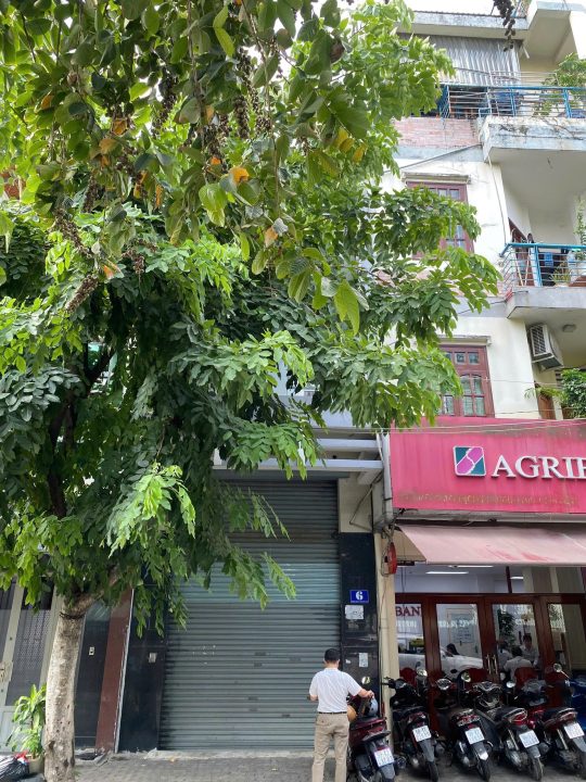 [BÁN GẤP] NHÀ MẶT TIỀN ĐƯỜNG SỐ 9 TÂN MỸ, QUẬN 7 | 4X15M (60M²) | TRỆT LỬNG 2 LẦU – GIÁ 16.5 TỶ