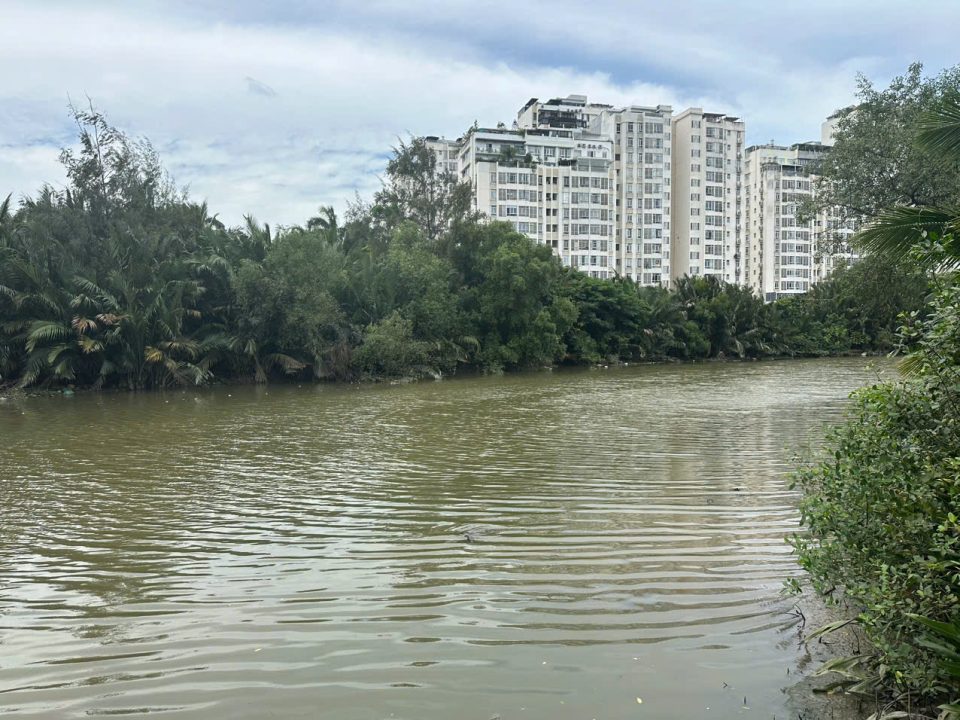 🏞️ BIỆT THỰ VIEW SÔNG ĐẲNG CẤP – VỊ TRÍ ĐẸP KDC TÂN QUY ĐÔNG