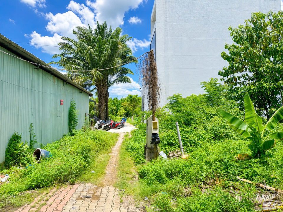 🍀 LÔ ĐẤT NỀN TĐC PHÚ MỸ – 8,1 TỶ | 90M² | ĐƯỜNG D9