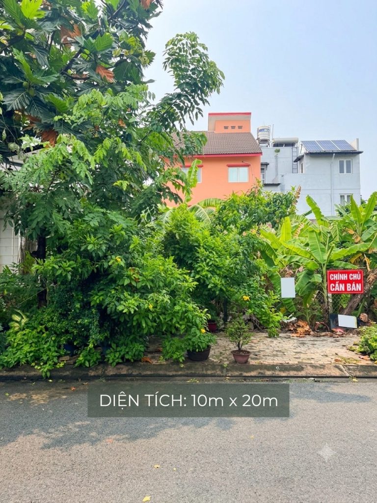 🏡 BÁN LÔ ĐẤT BIỆT THỰ 10x20M – KDC TẤN TRƯỜNG | ĐƯỜNG SỐ 3