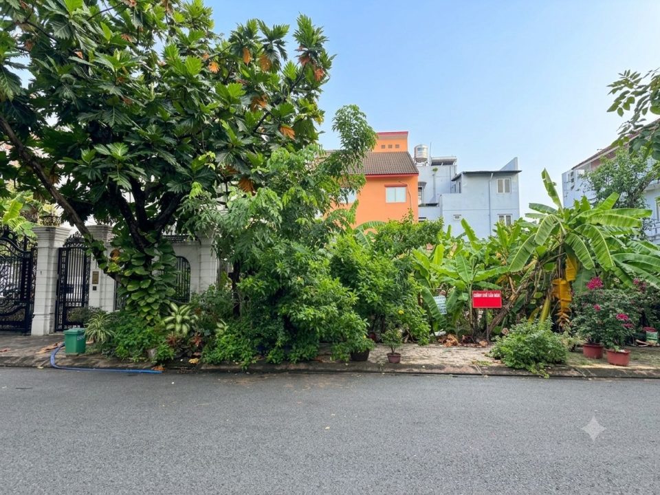 🏡 BÁN LÔ ĐẤT BIỆT THỰ 10x20M – KDC TẤN TRƯỜNG | ĐƯỜNG SỐ 3