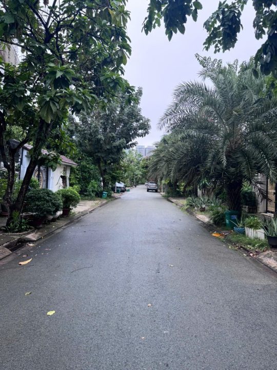 🏡 BÁN LÔ ĐẤT BIỆT THỰ 10x20M – KDC TẤN TRƯỜNG | ĐƯỜNG SỐ 3