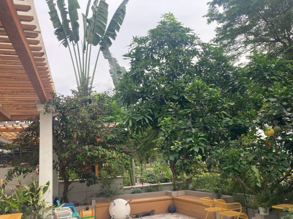 BIỆT THỰ ĐƠN LẬP VIEW SÔNG NINE SOUTH – QUỸ ĐẤT 342M² – FULL NỘI THẤT CAO CẤP